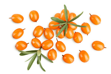 Sea buckthorn. Fresh ripe berry with leaves isolated on white background. Top view. Flat lay