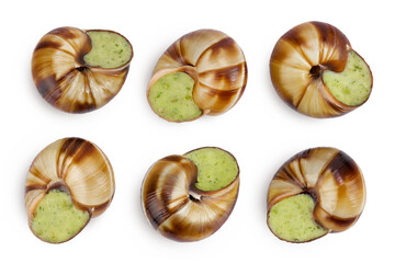 escargot snail filled with garlic and parsley butter isolated on white background. Top view. Flat lay