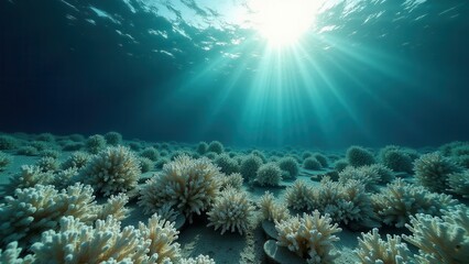 Obraz premium Underwater view of bleached coral reef with sun rays shining through clear ocean water 