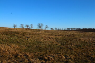 A field with a fence and trees in the background