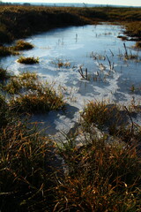 A river flowing through a small town