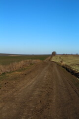 A road with a sign on it