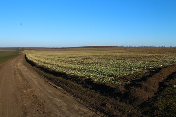 A road with a sign on it
