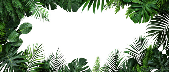 A lush border of green tropical leaves surrounds a blank space, creating a refreshing and natural frame for text or images.