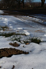 A snowy river with plants