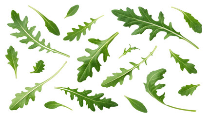 Collection of Fresh Green Rucola Leaves, Isolated on Transparent Background, Food Photography, Scattered Composition, arugula, herb, greens
