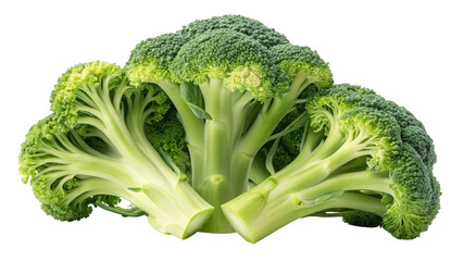 Fresh Broccoli Florets Composition, Isolated on Transparent Background, Vegetable, Healthy Food, broccoli, vegetable, food