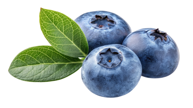Three Blueberries with Leaves, Isolated on Transparent Background, High-Resolution Image, Fresh Fruit Photography, Blueberry, Fruit, Food photography