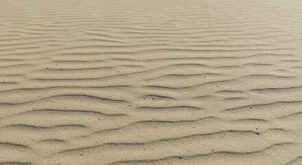 Fototapeta premium Close-up of desert sand with faint footprints. This close-up image captures the texture and subtle ripples of desert sand.