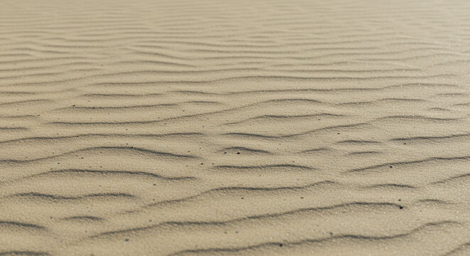 Close-up of desert sand with faint footprints. This close-up image captures the texture and subtle ripples of desert sand.