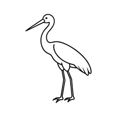 Fototapeta premium stork 