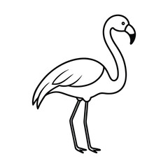 flamingo