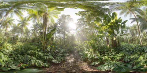 HDRI tropical rainforest canopy