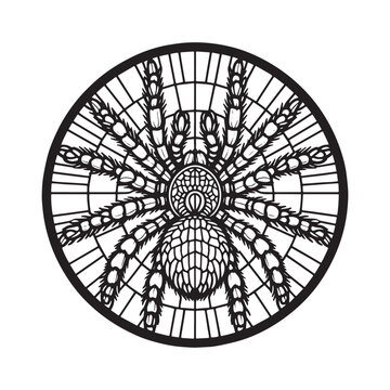 recommend clip art: Minimalist Tarantula Mosaic Outline in Arc Window Design