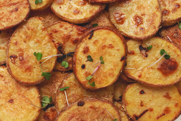 Crispy potato slices, with parmesan cheese and spices, fried in the oven, homemade, no people,