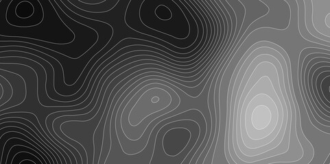 Vintage Topographic Swirl Pattern: A Retro Geometric Wallpaper Design with Contour Lines, Floral Ornaments, and Adventure-Inspired Textured Layers in Black, White, and Grey.