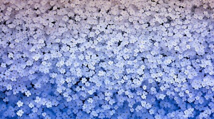 Obraz premium Delicate white flowers create a beautiful textured floral pattern