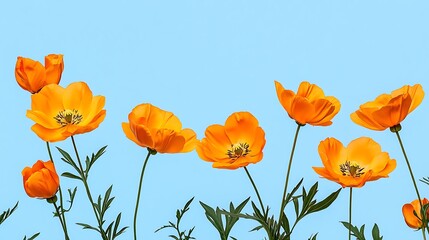 Obraz premium Vibrant Orange Poppies Against a Summer Sky AI Generated
