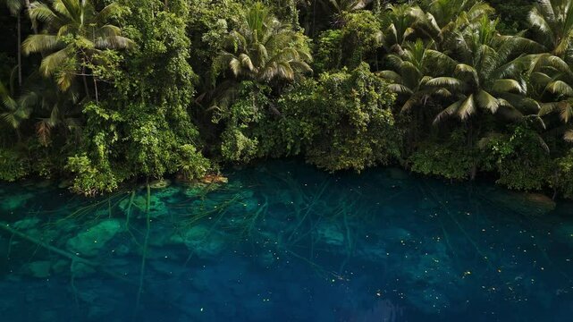 Paisupok lake with crystal blue water in tropical forest, Indonesia, above view
