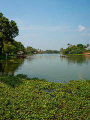 Keralan fishermen cast a net in palm tree lined backwaters of Kollam-Kottapuram Waterway south of Kochi, Kerala, India. Foreground water vegetation. Blue sky. Space for text.