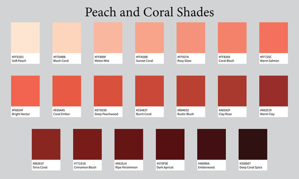 Color Palette 20 Shades of Peach and Coral - Warm, Delicate, Soft Colors - with HEX Codes and Names, Colour Swatches and Combinations
