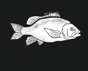 Black and white illustration of fish swimming underwater