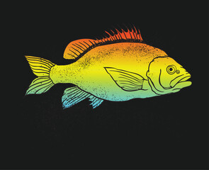 Illustration of fish swimming underwater