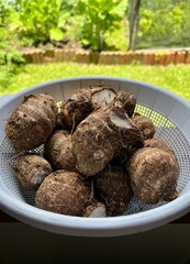 Basket of Fresh Organic Yams