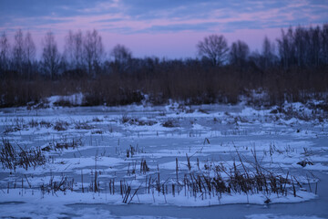 Winter landscape with a frozen lake and dry grass. 