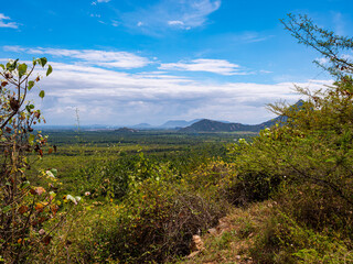 Looking across a wide plain, from foreground shrubbery to the distant hill horizon of the biodiverse Western Ghats mountain range in Kerala, southern India.