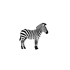 Black and White Illustration of Zebra in Minimalist Style on White Background
