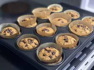 chocolate chip muffins