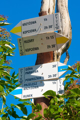 Drogowskazy turystyczne w centrum Krynicy. - obrazy, fototapety, plakaty