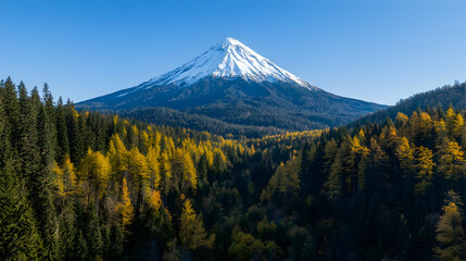 Fototapeta premium Snow-capped mountain autumn forest vista