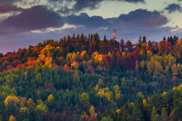 Jesienny widok na Górę Parkową w Krynicy-Zdroju.
