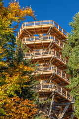 Widok na wieżę widokową nad Krynicą. © Jacek