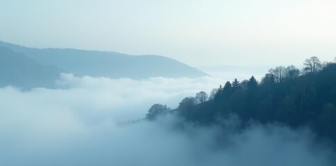 Fototapeta premium Cloudy landscape with white fog and dark trees, solitude, fog