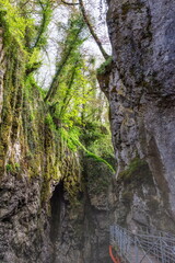 waterfall in the forest