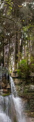 rain in the forest