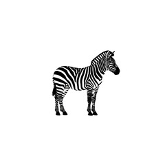 Zebra Vector Logo Design