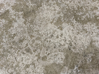 Off White Texture - Rough White Texture Background - Plaster Wall Texture