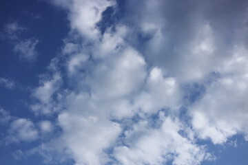 Fototapeta premium blue sky with clouds