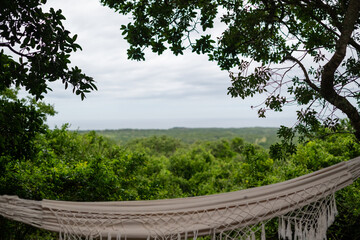 View of a hammock and nature background
