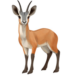 Fototapeta premium Detailed Illustration of Klipspringer Antelope Standing Gracefully in Natural Habitat