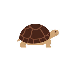 Tortoise Vector Logo Design