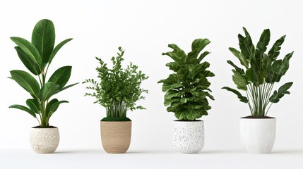 Obraz premium modern indoor potted plants against white background, set of palm trees perfect for plants shop 