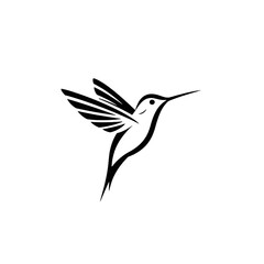 Obraz premium Hummingbird Vector Logo Design