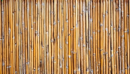 bamboo fence texture close-up, natural material background, eco friendly, rustic design for outdoor space or garden decor