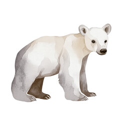 Fototapeta premium Illustration of a Polar Bear Standing Gracefully on a Transparent background, Showcasing Its Unique Features and Texture