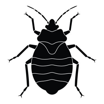black stink bug silhouette on white clip art preview